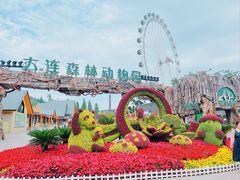 -大连森林动物园