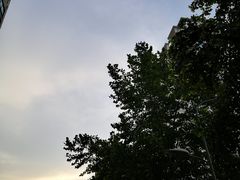 -王虎子大饼(甸柳新村五区店)