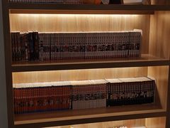 -滚猫咖啡·猫咖·猫友好撸猫(未来城店)
