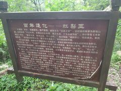 -北京密云天门山风景区