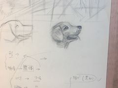 -BRAVO 赞·美艺术中心·系统美术·书法·艺考(双井校区)