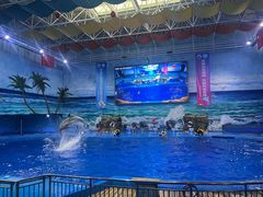 -多彩贵州城极地海洋世界