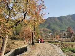 -塔川景区