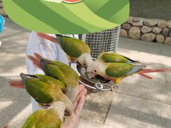 -吉姆冒险世界(蓟州店)