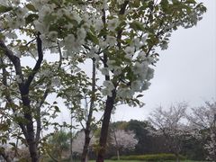 -吼山森林公园