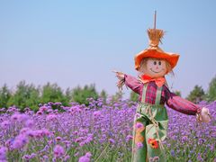 -北纬44度·金珠花海休闲农业旅游景区