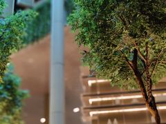 -博林天瑞喜来登酒店·西丽尚膳