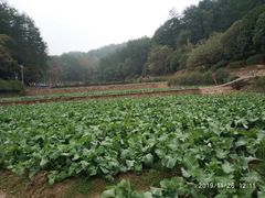 -韶山毛泽东同志故居