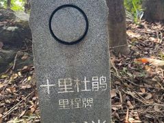 -梧桐山风景名胜区