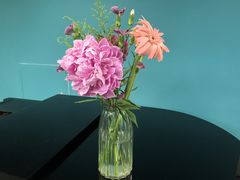 -圣典成人钢琴俱乐部(国贸旗舰校区)