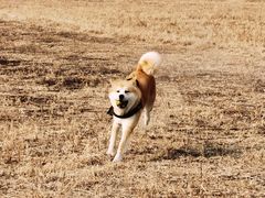 -瀛海足球主题公园