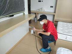 -浙大冰虫甲醛检测治理(闵行店)