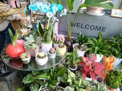 -FEI FEI FLOWER鲜花店·气球派对·宝宝宴布置(虹口德必运动Loft店)