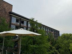 -逸廊大堂吧-下午茶·简餐-千岛湖自由洲际殿