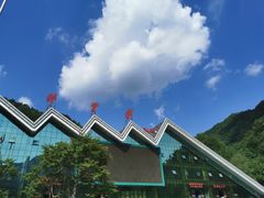 -牛背梁国家森林公园