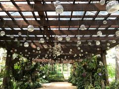 -四季酒店下午茶