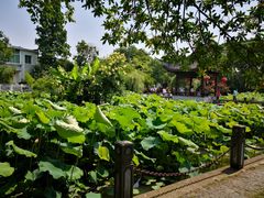 -丝绸小镇荻港古村