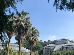 -华南国家植物园-售票处