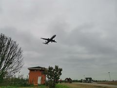 -空港花田景区