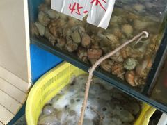 -张树军海鲜(王府壹号店)
