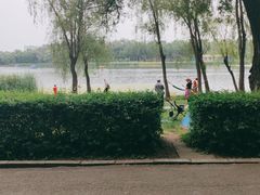 -长春市南湖公园