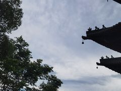 -杭州半山国家森林公园