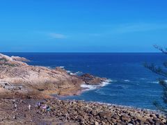 -广东惠东海龟国家级自然保护区