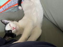 -御品轩(立丰城店)