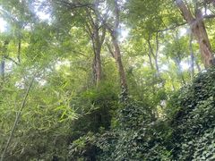 -幕燕滨江·燕子矶公园
