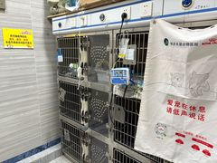 -瑞派名望志远动物医院·猫科·內科·异宠专科(直港大道店)