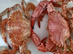 -宾朋海鲜美食餐厅·特色美食(兴海路店)