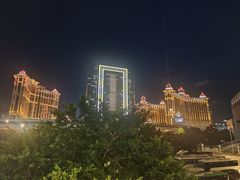 -澳门威尼斯人综合度假区