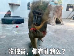 -西安秦岭野生动物园