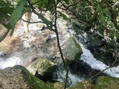 -藏龙百瀑风景区