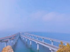 -星海湾跨海大桥