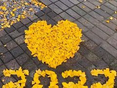 -皇家美孚(麦岛店)