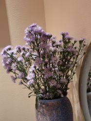 -尊尚柏丽美容SPA