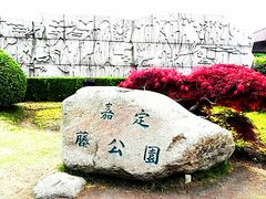 -嘉定紫藤园