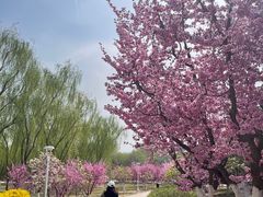 -燕郊植物园