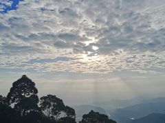 -水濂山森林公园