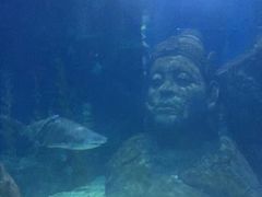 -暹罗海洋世界