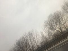 -盛江山自助料理(太原街万达店)