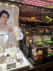 -六福珠寶(百联南方购物中心店)