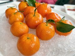 -庆和楼(北师大店)