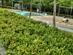 -飞凤山奥体公园