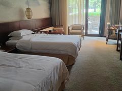 -东海森林温泉度假酒店