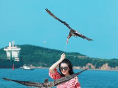-海驴岛(荣成市)