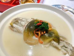 养颜白汁河豚-肆月河豚·新淮扬(金融街店)