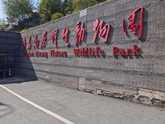 -青藏高原野生动物园