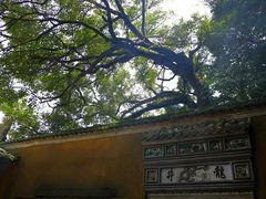 -普陀山风景区-佛顶山